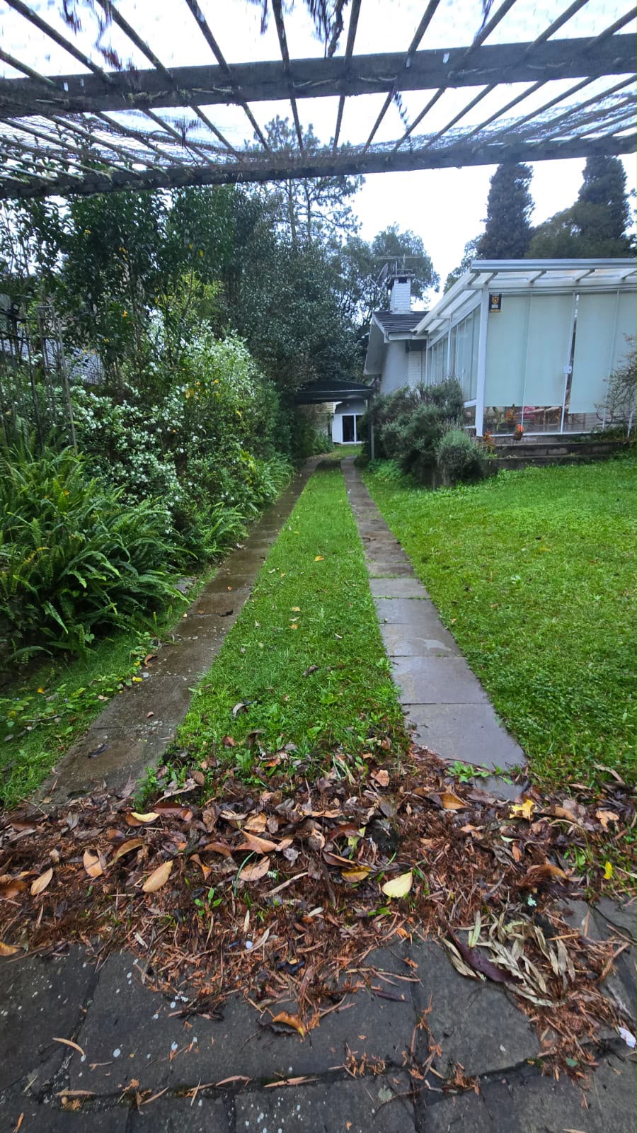 Manutenção de jardim em residência